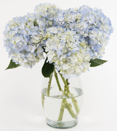 Joyful Inspirations™ Bouquet